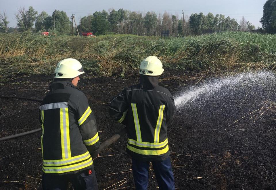 В Ірпені пожежники другу добу гасять палаючий торф, ймовірна причина пожежі – підпал - 3 1 1 novyny, irpin В Ірпені пожежники другу добу гасять палаючий торф, ймовірна причина пожежі – підпал - - 3 1 1