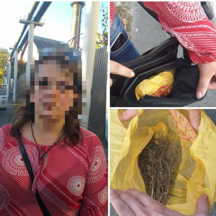В Ірпені затримали жінку з "коноплями, які вона зірвала на полі" - 20191017 080920 prygody, novyny, irpin В Ірпені затримали жінку з "коноплями, які вона зірвала на полі" - - 20191017 080920