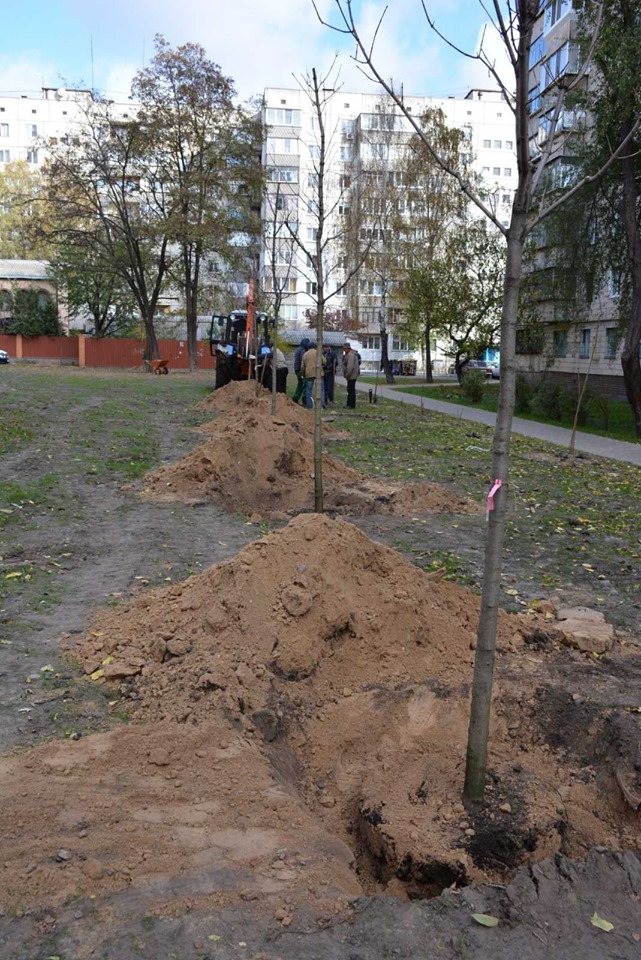 У Броварах висаджують дерева - 74687769 402206020691098 2596741466294321152 n novyny, kyyivshhyna, dovkillya, brovary У Броварах висаджують дерева - - 74687769 402206020691098 2596741466294321152 n