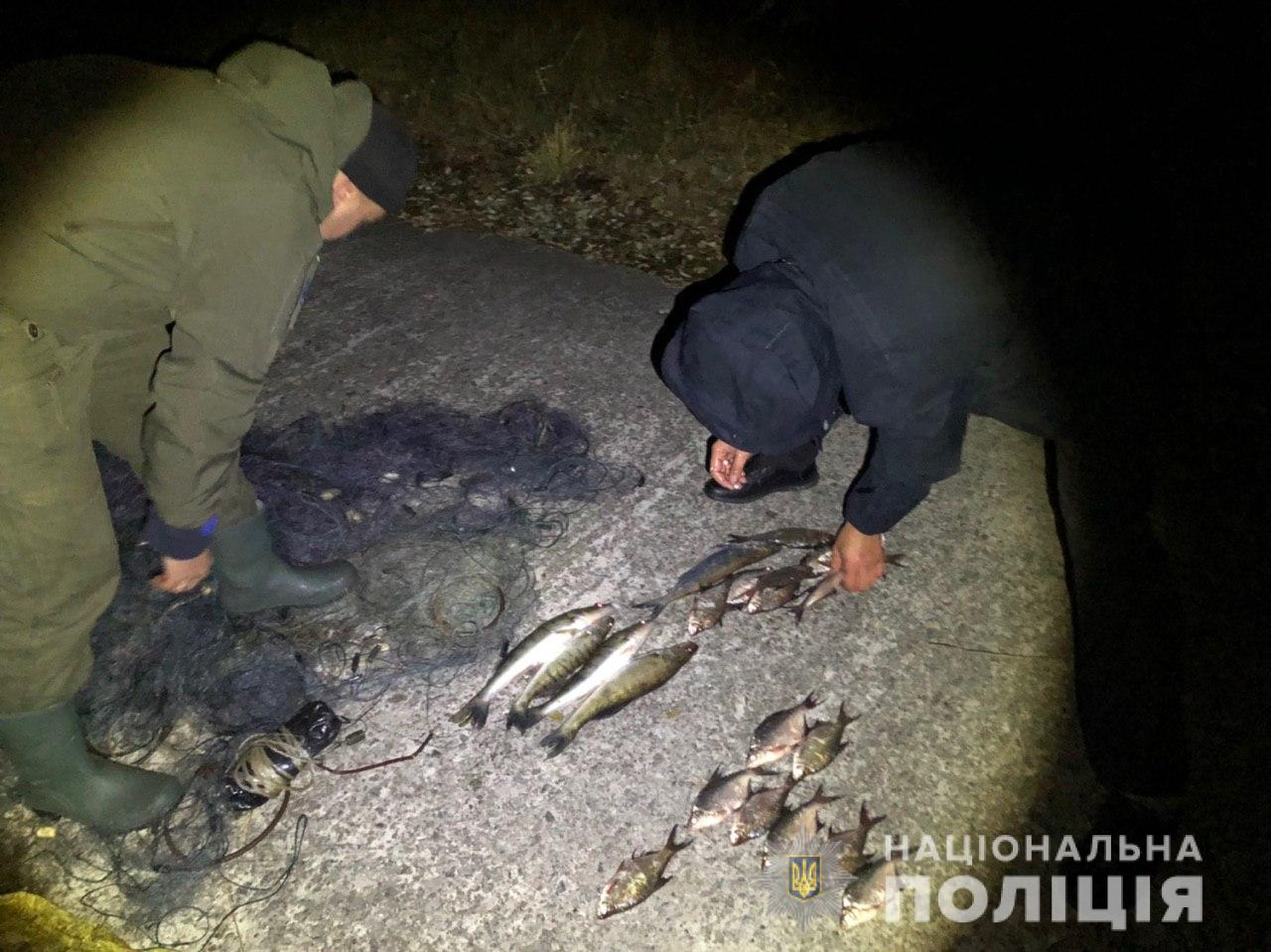 «Під градусом» і з застреленим лебедем: на Київщині упіймали браконьєрів - WhatsApp Image 2019 10 06 at 08.52.55 novyny, kyyivshhyna, dovkillya «Під градусом» і з застреленим лебедем: на Київщині упіймали браконьєрів - - WhatsApp Image 2019 10 06 at 08.52.55