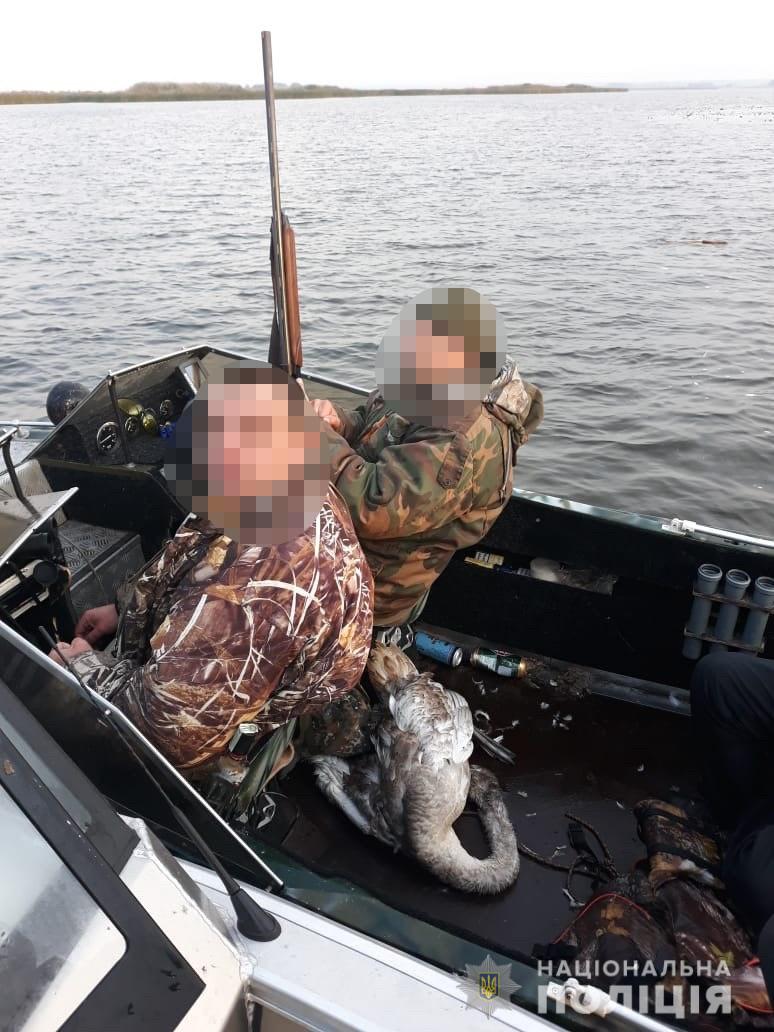 «Під градусом» і з застреленим лебедем: на Київщині упіймали браконьєрів - WhatsApp Image 2019 10 06 at 14.10.39 novyny, kyyivshhyna, dovkillya «Під градусом» і з застреленим лебедем: на Київщині упіймали браконьєрів - - WhatsApp Image 2019 10 06 at 14.10.39