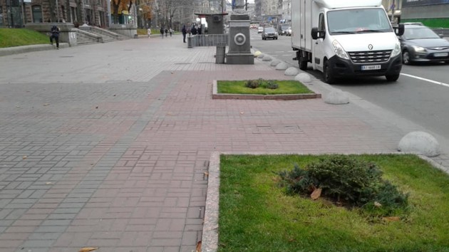 Замість каштанів – кущі ялівцю: на головній вулиці Києва «замінили» символ столиці - 21 kreshhatyk novyny, kyyivshhyna, dovkillya Замість каштанів – кущі ялівцю: на головній вулиці Києва «замінили» символ столиці - Хрещатик - 21 kreshhatyk