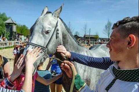 «Світ коней»: нове видовище у парку «Київська Русь» - 8122588 na vykhodnykh v parke kievskaya rus pro obuhiv, kultura, anonsy «Світ коней»: нове видовище у парку «Київська Русь» - - 8122588 na vykhodnykh v parke kievskaya rus pro