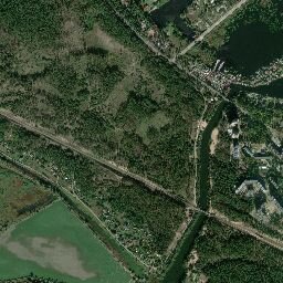 Обласна прокуратура намагається повернути до держави 34 га лісу в межах міста Українки - 9590 ukrayina, novyny, kryminal Обласна прокуратура намагається повернути до держави 34 га лісу в межах міста Українки - - 9590