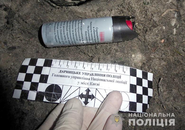 Викрав автівку та чинив опір: у Києві затримали неповнолітнього - 27122019darnugon181220194 prygody, novyny, kryminal, kyyivshhyna Викрав автівку та чинив опір: у Києві затримали неповнолітнього - - 27122019darnugon181220194