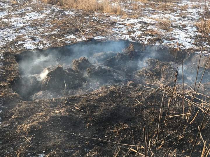 В Ірпені на заплаві горів торф - FB IMG 1575962218961 prygody, pozhezhi, novyny, irpin В Ірпені на заплаві горів торф - - FB IMG 1575962218961