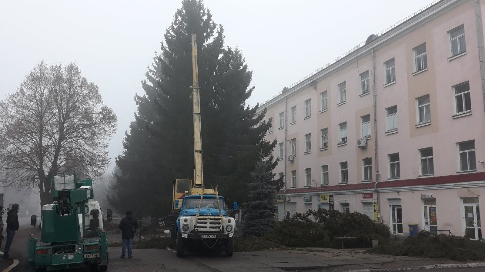 Переяславців обурила вирубка ялинок на приватній землі yzobrazhenye_viber_2019-12-12_10-21-16 Переяславців обурила вирубка ялинок на приватній землі