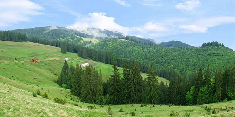 Прокуратура вимагає повернення державі 5,5 га земель на Миронівщині - zemli prygody, novyny, kyyivshhyna Прокуратура вимагає повернення державі 5,5 га земель на Миронівщині - - zemli