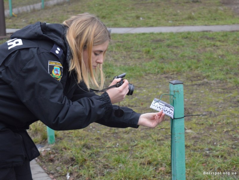 В одному із скверів Борисполя викрали 14 м паркану - 33980184 prygody, novyny, kyyivshhyna, boryspil В одному із скверів Борисполя викрали 14 м паркану - - 33980184