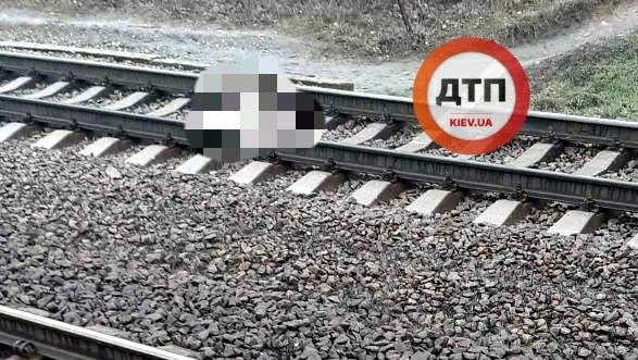 У Києві тварина загинула під колесами потяга, підозрюють живодерів - 82013006 1546616898837531 1230681084342042624 n prygody, novyny, kyyivshhyna-suspilstvo, kyyivshhyna У Києві тварина загинула під колесами потяга, підозрюють живодерів - - 82013006 1546616898837531 1230681084342042624 n