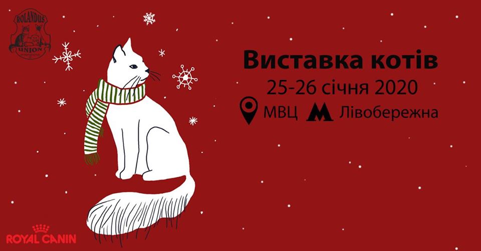 Наприкінці січня у Києві відбудеться виставка котів - 82099931 2780894741932258 8662006024422555648 o kultura, kyyivshhyna-suspilstvo, anonsy Наприкінці січня у Києві відбудеться виставка котів - - 82099931 2780894741932258 8662006024422555648 o