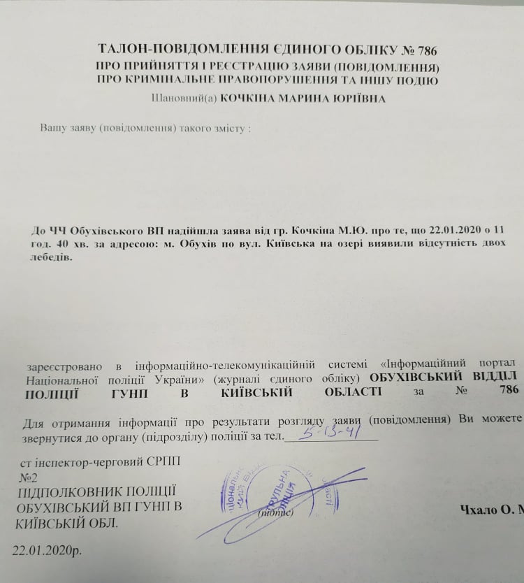 Куди поділися обухівські лебеді: журналісти "Погляду" проводили власне розслідування - 82840491 1997321680416848 2345539115597955072 n prygody, obuhiv, novyny, dovkillya Куди поділися обухівські лебеді: журналісти "Погляду" проводили власне розслідування - - 82840491 1997321680416848 2345539115597955072 n