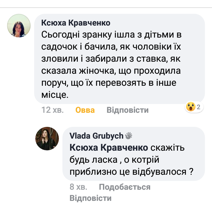 Куди поділися обухівські лебеді: журналісти "Погляду" проводили власне розслідування - 82915477 920932888362158 6159862634456809472 n prygody, obuhiv, novyny, dovkillya Куди поділися обухівські лебеді: журналісти "Погляду" проводили власне розслідування - - 82915477 920932888362158 6159862634456809472 n