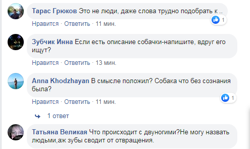 У Києві тварина загинула під колесами потяга, підозрюють живодерів - Screenshot 14 prygody, novyny, kyyivshhyna-suspilstvo, kyyivshhyna У Києві тварина загинула під колесами потяга, підозрюють живодерів - - Screenshot 14