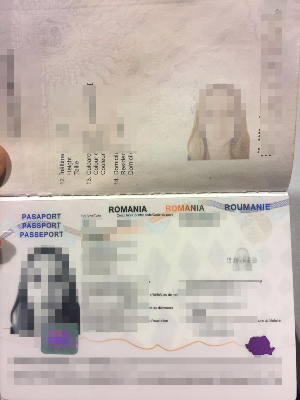 Несправжню румунку затримали в аеропорту "Бориспіль" - news 20200121 125656 1579604216 novyny, kyyivshhyna, boryspil Несправжню румунку затримали в аеропорту "Бориспіль" - - news 20200121 125656 1579604216