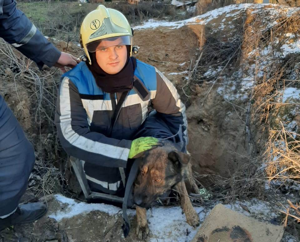 У Тарасівці рятувальники витягнули собаку з трьохметрового колодязя - yzob23razhenye viber 2020 01 09 08 22 05 prygody, novyny, nadzvychajni-sytuatsiyi, kyyevo-svyatoshynskyj-rajon У Тарасівці рятувальники витягнули собаку з трьохметрового колодязя - - yzob23razhenye viber 2020 01 09 08 22 05