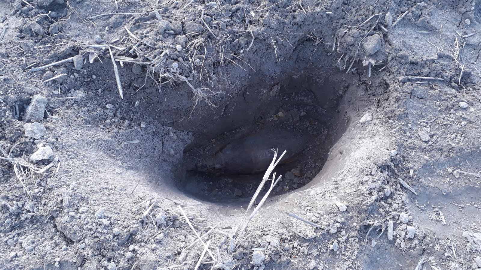 "Обережно, міна!": на гостомельському полі знайшли 28 вибухонебезпечних предметів 0-02-05-b0b3cb08cd3158ff2708d941cc724d062c9dba382cdda106c6a6205198280a37_dc692924 "Обережно, міна!": на гостомельському полі знайшли 28 вибухонебезпечних предметів