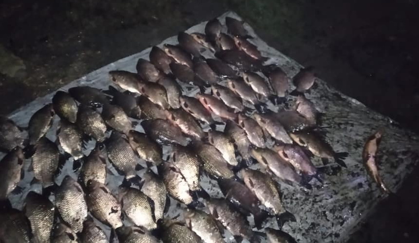На Переяславщині браконьєри виловили риби на більш ніж 2 тисячі гривень