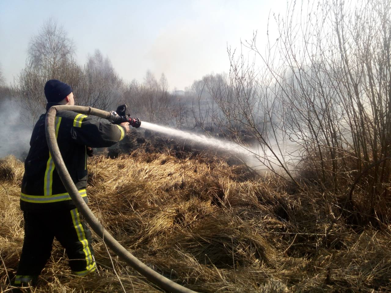 За добу екосистема Київщини горіла 101 раз - 1 7 novyny, kyyivshhyna, dovkillya За добу екосистема Київщини горіла 101 раз - - 1 7