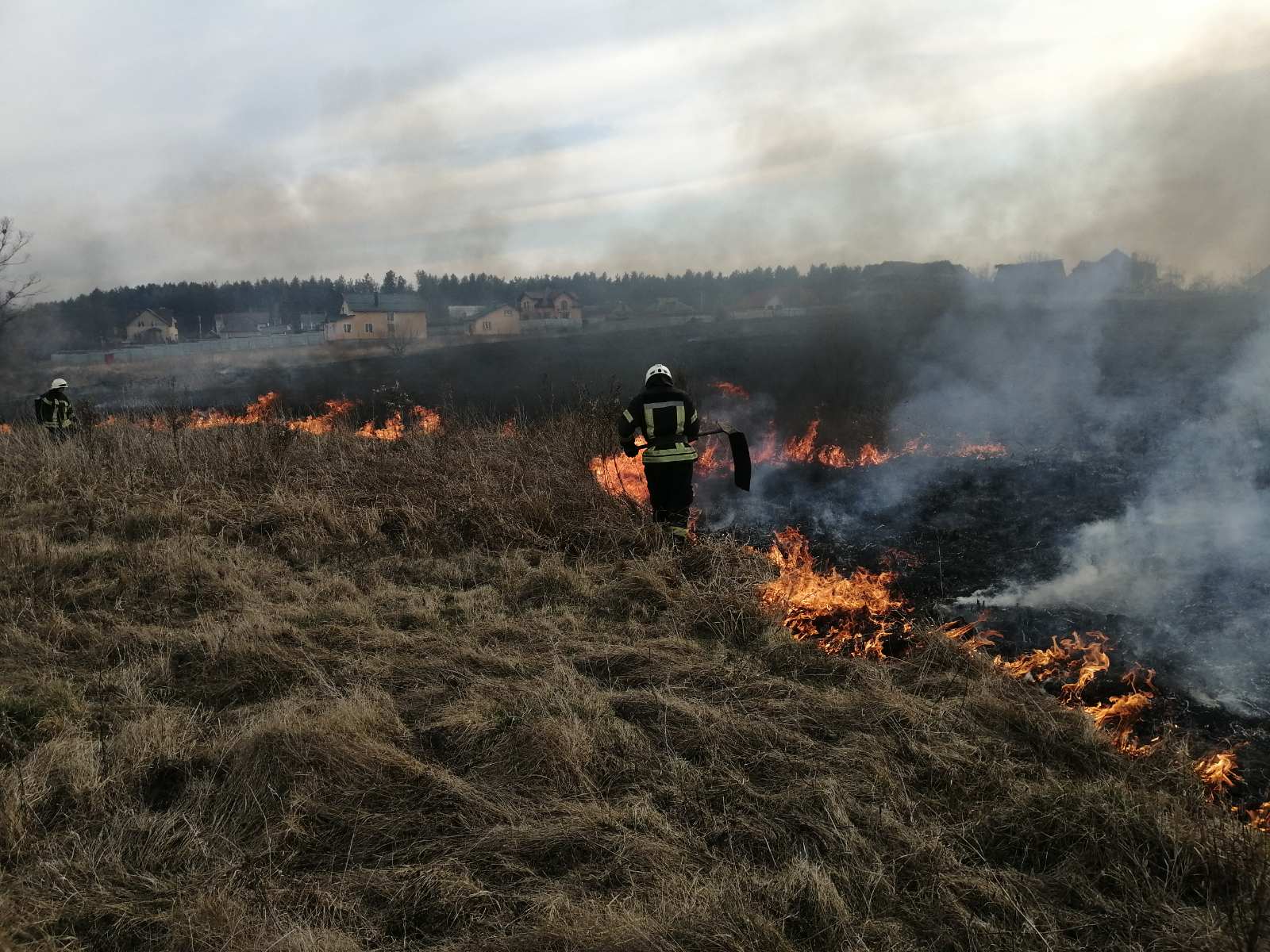 За добу екосистема Київщини горіла 101 раз - 8 novyny, kyyivshhyna, dovkillya За добу екосистема Київщини горіла 101 раз - - 8