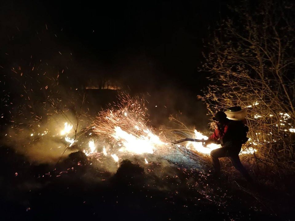 На Бориспільщині через підпалювачів трави згоріло 3 будівлі - 90651113 2648885862052815 3236901617299095552 o novyny, kyyivshhyna, dovkillya, boryspil На Бориспільщині через підпалювачів трави згоріло 3 будівлі - - 90651113 2648885862052815 3236901617299095552 o