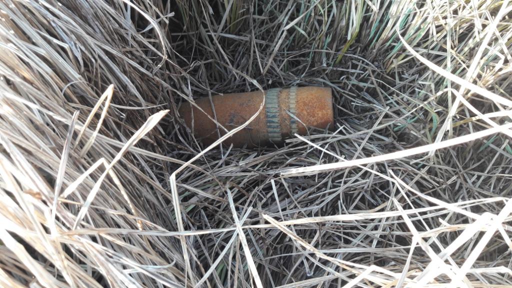 У Сквирському районі чоловік в траві знайшов артилерійський снаряд - 1 1 1 prygody, novyny, kyyivshhyna У Сквирському районі чоловік в траві знайшов артилерійський снаряд - - 1 1 1