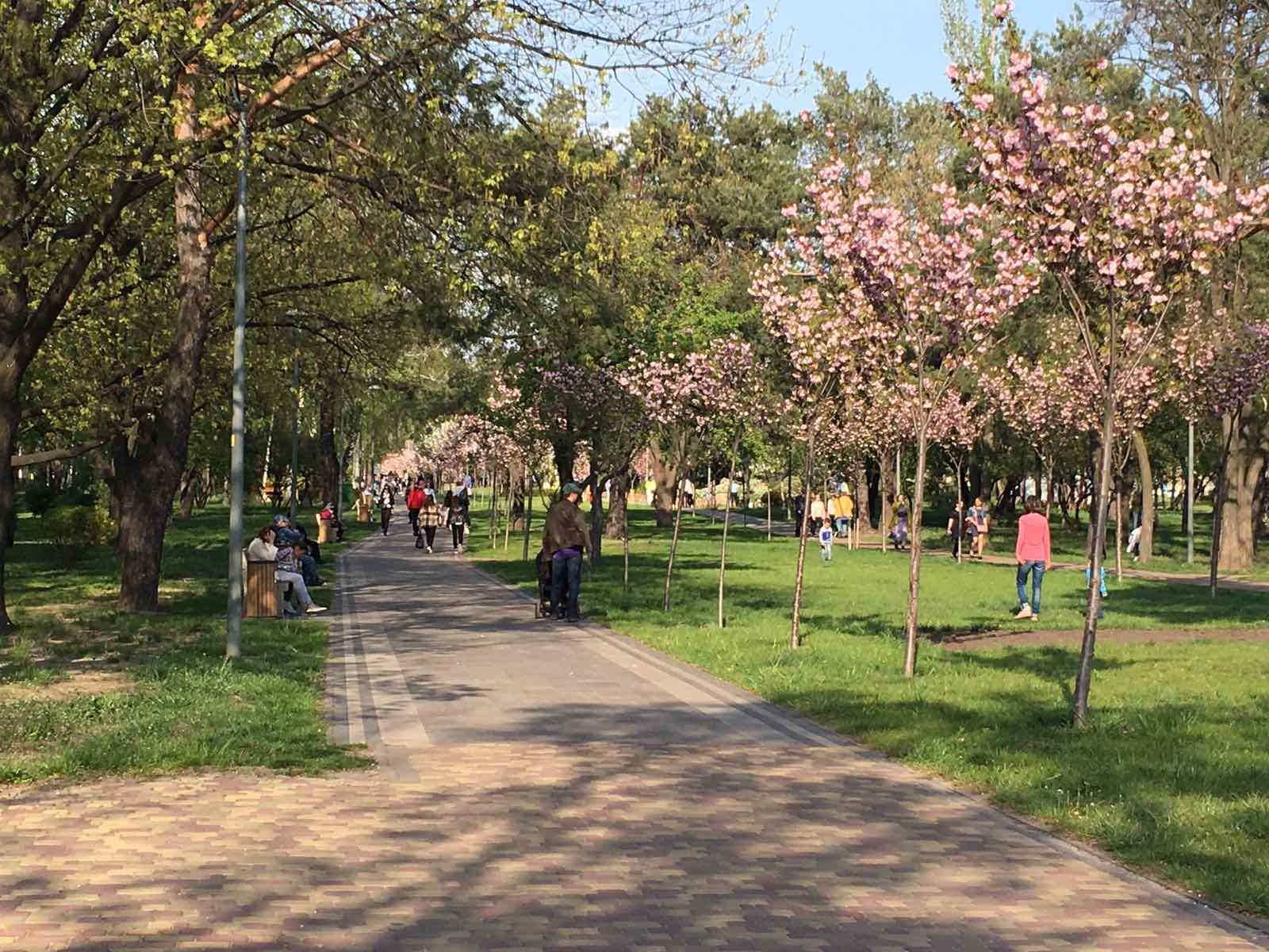 Карантин у Києві: затори і жодної вільної лавки - 4 kyoto1 novyny, kyiv Карантин у Києві: затори і жодної вільної лавки - - 4 kyoto1