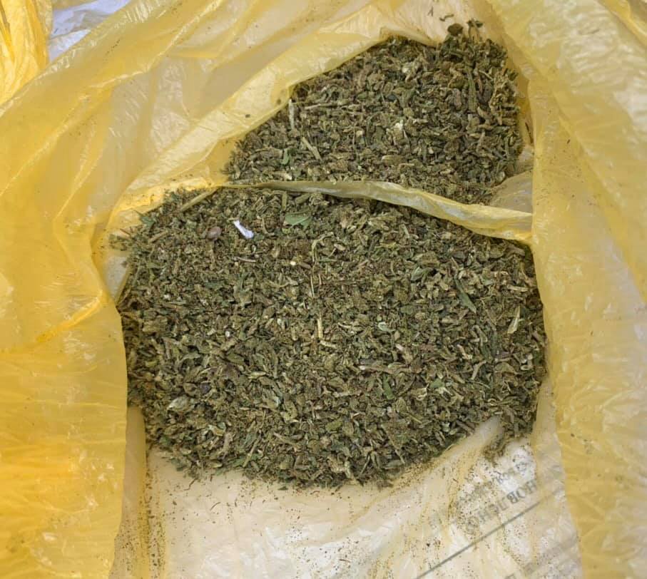 В Броварах виявили чоловіка з канабісом - 94528265 1295438940666711 5050667770983743488 n prygody, novyny, kryminal, kyyivshhyna, brovary В Броварах виявили чоловіка з канабісом - - 94528265 1295438940666711 5050667770983743488 n
