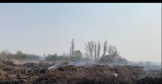 На Бориспільщині горить сміттєзвалище - Screenshot 9 novyny, kyyivshhyna, dovkillya, boryspil На Бориспільщині горить сміттєзвалище - - Screenshot 9