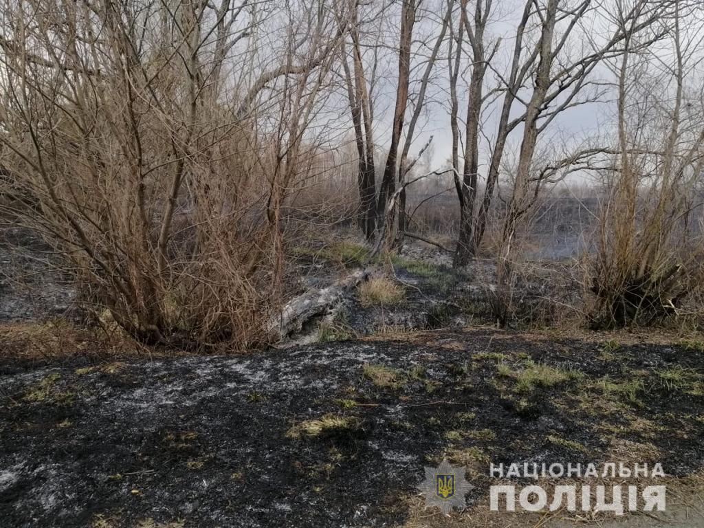 Встановлено ще одного причетного до пожеж у зоні ЧАЕС - chaes12 prygody, pozhezhi, novyny, kryminal, kyyivshhyna Встановлено ще одного причетного до пожеж у зоні ЧАЕС - - chaes12