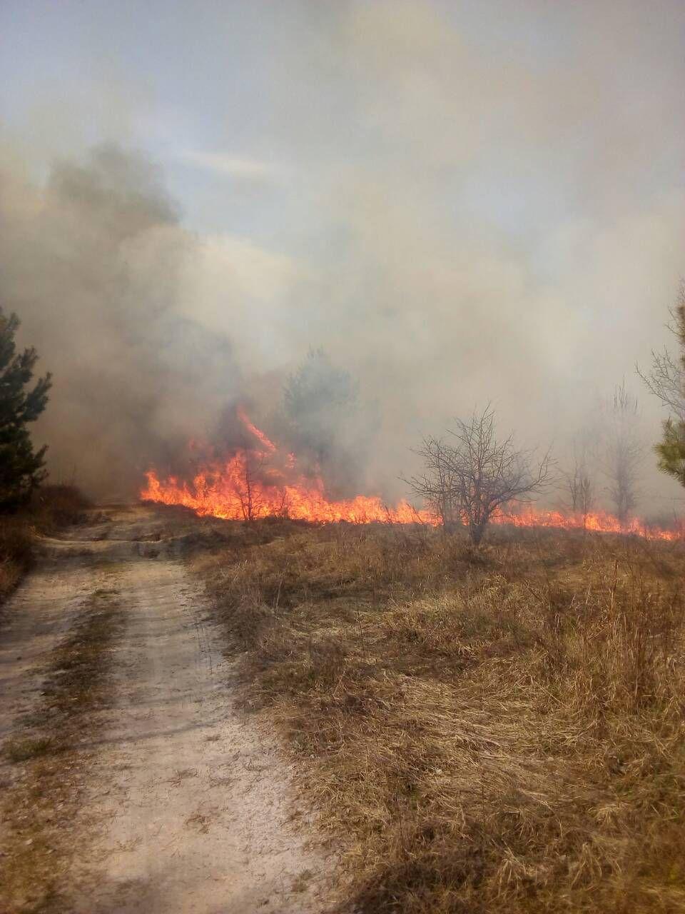 На Іванківщині горіли гектари лісової підстилки, зелених насаджень та сміття - photo 2020 03 28 08 58 48 prygody, pozhezhi, novyny, kyyivshhyna На Іванківщині горіли гектари лісової підстилки, зелених насаджень та сміття - - photo 2020 03 28 08 58 48