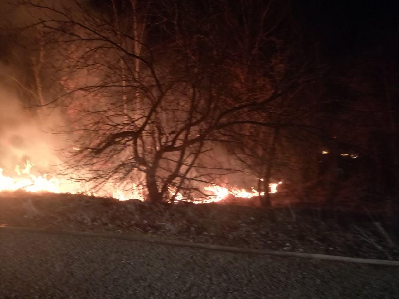 На Іванківщині горіли гектари природних екосистем - photo 2020 04 02 07 58 18 prygody, pozhezhi, novyny, kyyivshhyna На Іванківщині горіли гектари природних екосистем - - photo 2020 04 02 07 58 18
